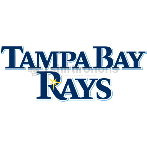 Tampa Bay Rays T-shirts Iron On Transfers N1956